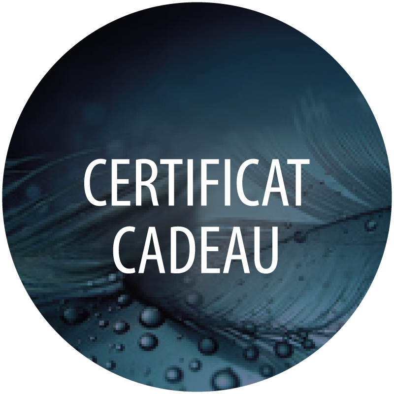 certificat-cadeau-2